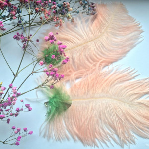 Kolczyki pióra leciutkie