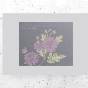 botaniczny plakat A4, rośliny plakat na ścianę, plakat z roślinami, vintage plakat A4, retro plakat z kwiatami, mały plakat do domu