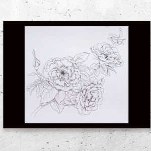 nowy plakat z dziką różą, czarno biały plakat z kwiatami, kwiaty plakat czarno biały, plakat z kwiatkami, kwiatki plakat A4, hygge posters 21x30, dzika róża plakat do domu