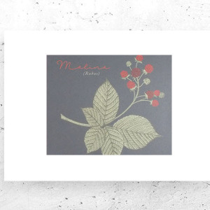 botaniczny plakat A4, rośliny plakat na ścianę, plakat z roślinami, vintage plakat A4, retro plakat do kuchni, mały plakat do domu