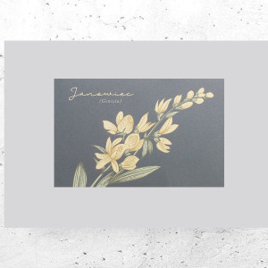 botaniczny plakat A4, rośliny plakat na ścianę, plakat z roślinami, vintage plakat A4, retro plakat z kwiatami, mały plakat do domu