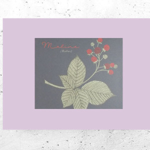 botaniczny plakat A4, rośliny plakat na ścianę, plakat z roślinami, vintage plakat A4, retro plakat z kwiatami, mały plakat do domu