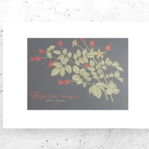 botaniczny plakat A4, rośliny plakat na ścianę, plakat z roślinami, vintage plakat A4, retro plakat z kwiatami, mały plakat do domu