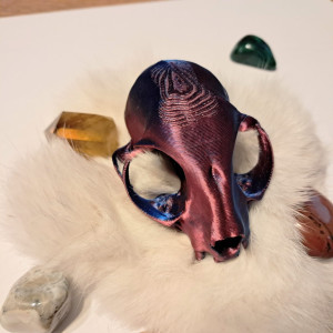 wydruk czaszki kota kolorowa