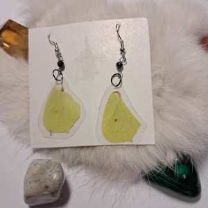 kolczyki ze skrzydeł cytrynka