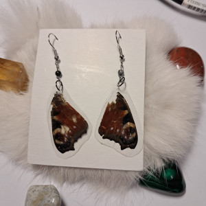 kolczyki ze skrzydeł rusałki pawik