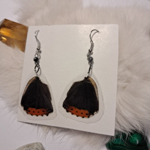 kolczyki ze skrzydeł rusałki admirał