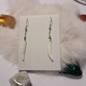 kolczyki z zębami szopa