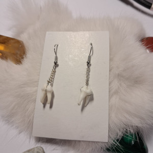 kolczyki z zębami szopa