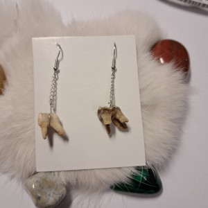 kolczyki z zębami koziołka sarny
