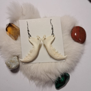 kolczyki żuchwy norki amerykańskiej