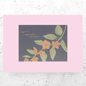 botaniczny plakat A4, rośliny plakat na ścianę, plakat z roślinami, vintage plakat A4, retro plakat z kwiatami, mały plakat, pastelowy plakat A4, boho plakaty do domu