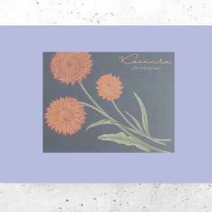 botaniczny plakat A4, rośliny plakat na ścianę, plakat z roślinami, vintage plakat A4, retro plakat z kwiatami, mały plakat do domu, pastelowy plakat A4, fajne plakaty do domu