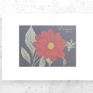 botaniczny plakat A4, rośliny plakat na ścianę, plakat z roślinami, vintage plakat A4, retro plakat z kwiatami, mały plakat do domu, kwiaty plakat 21x30, kwiatek obrazek A4, plakat w stylu vi