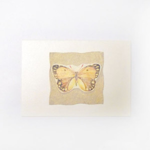 pastelowa kartka bez życzeń, motylek kartka, vintage kartka z motylkiem,  ogólne zaproszenie bez tekstu, podziękowanie, kartka na 18, wieczór panieński kartka