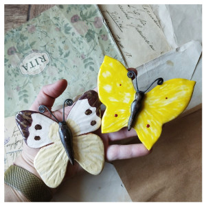 Motyl cytrynek i bielinek kapustnik