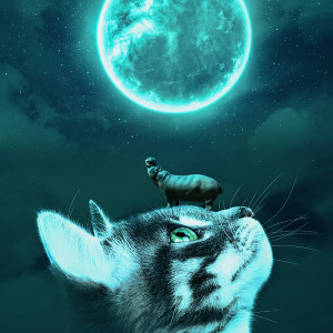 Plakat fantasy kot z hipopotamem 056_2024