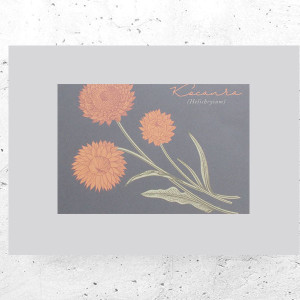 botaniczny plakat A4, rośliny plakat na ścianę, plakat z roślinami, vintage plakat A4, retro plakat z kwiatami, mały plakat do domu