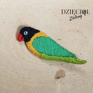 Broszka nierozłączka czarnogłowa