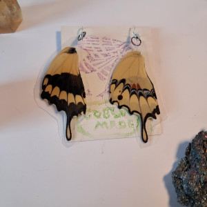 kolczyki ze skrzydeł