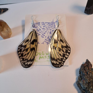 kolczyki ze skrzydeł