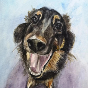 Portret zwierzaka na zamówienie 24 x 32 cm