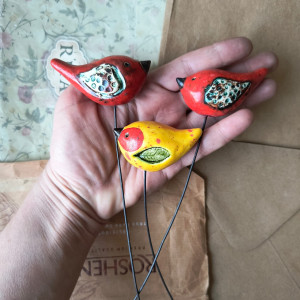 Ptaszki żółto-czerwone