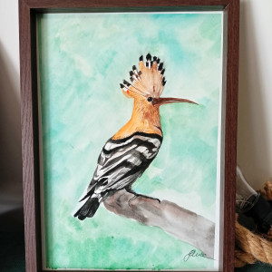 Obraz akwarela – Dudek (A4) w drewnianej ramce