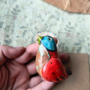 Ptaszek z turkusowym oczkiem