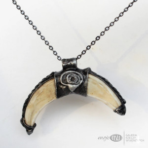 Zęby dzika w półksiężycu