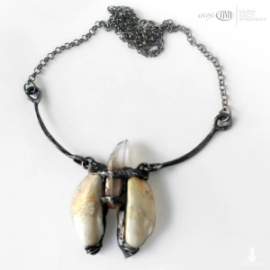 Zęby dzika z kryształem