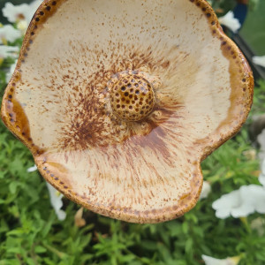 kwiat ceramiczny - makowa panienka