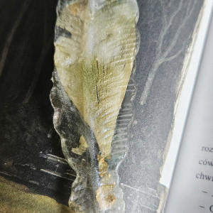 Zakładka z żywicy epoksydowej pióro z płatkami kwiatów P08