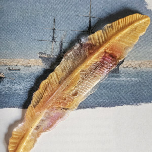 Zakładka z żywicy epoksydowej pióro z płatkami tulipana i kwiatów P09