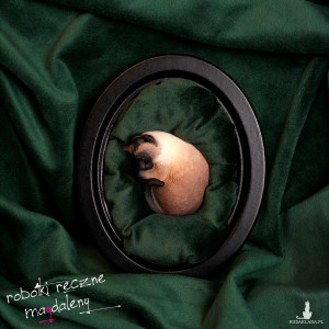 PIECUSZEK - śpiący kotek