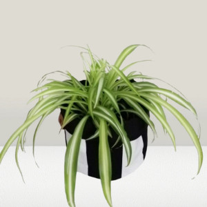 Koszyk ,worek do powieszenia,osłonka doniczki 15x14cm...