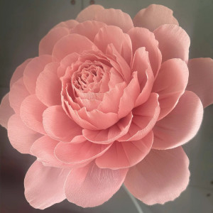 Piwonia z krepiny zestaw 3 szt.