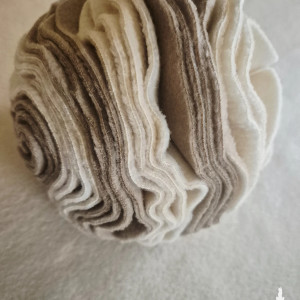 Kula węchowa dla psa