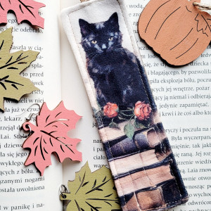 Zakładka do książki: czarny kot i książki