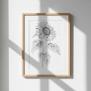 64. SŁONECZNIK - rysunek, plakat.