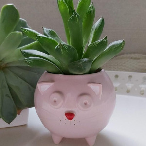 Mała różowa doniczka ceramiczna kot Kizior - Rękodzieło na prezent - Lamabo