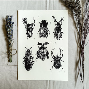 Linoryt „Żuki” – ręcznie wykonana grafika owada w stylu artystycznym