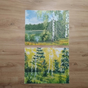 WYPRZEDAŻ KOLEKCJI - ZESTAW RĘCZNIE MALOWANYCH OBRAZÓW - BRZOZY W KOLORZE - 2x 24x30cm