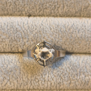 Pierścionek z kręgiem. Motyw pajęczyny