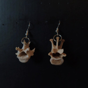 Budżetowe kolczyki z kręgami lisa