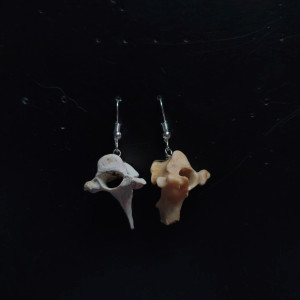 Kolczyki z kręgami lisa