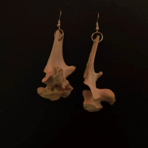 Połowiczne kolczyki z kręgami barana