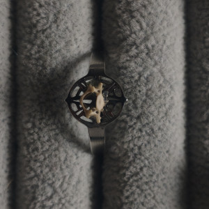 Pierścionek z kręgiem. Motyw pajęczyny