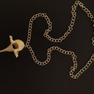 Naszyjnik z kręgiem sarny