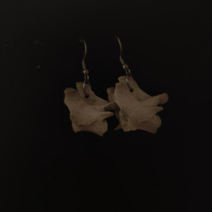 Skromne kolczyki z kręgami lisa